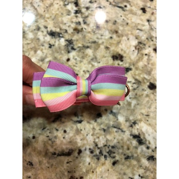 Collor for small dog - Picture 1 of 6